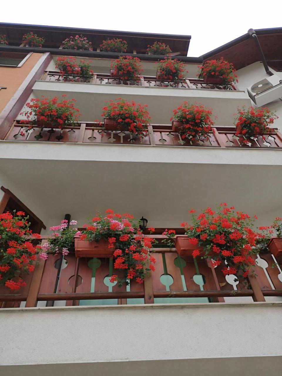 La Pierre Apartments バンスコ エクステリア 写真