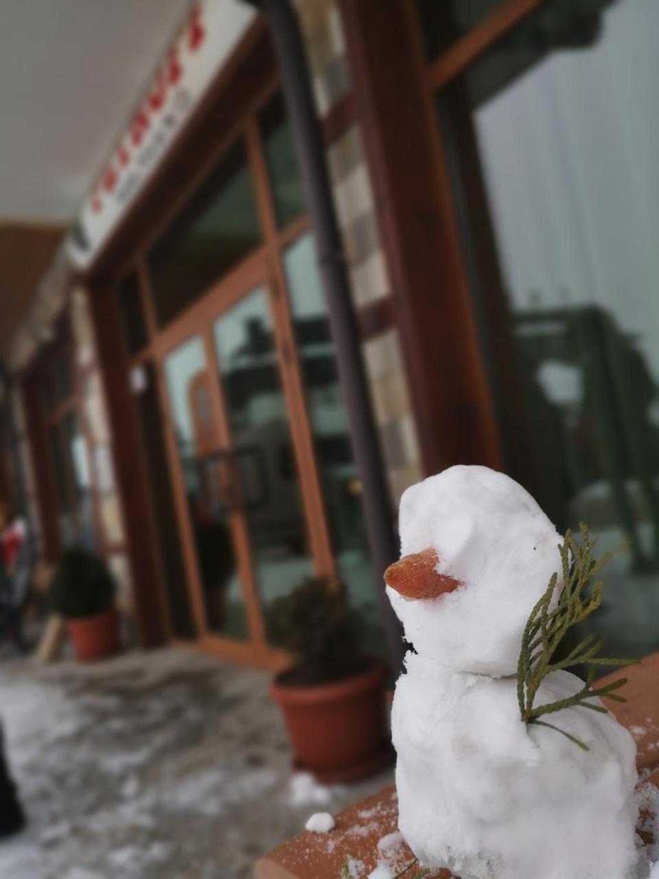La Pierre Apartments バンスコ エクステリア 写真